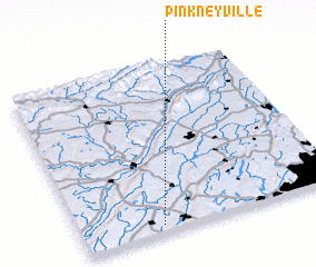 3d view of Pinkneyville