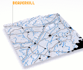 3d view of Beaverkill