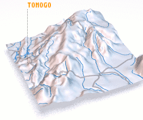 3d view of Tomogo