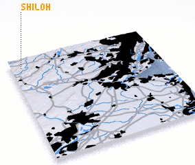 3d view of Shiloh