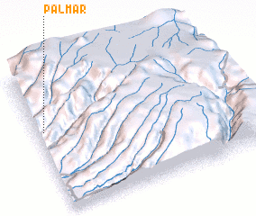 3d view of Palmar