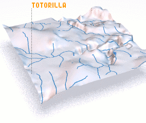 3d view of Totorilla