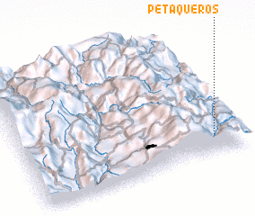 3d view of Petaqueros