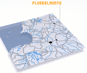 3d view of Flor del Monte