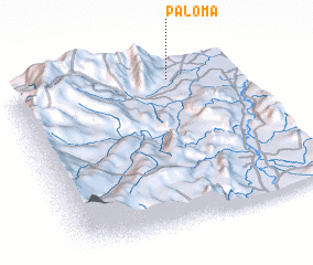 3d view of Paloma