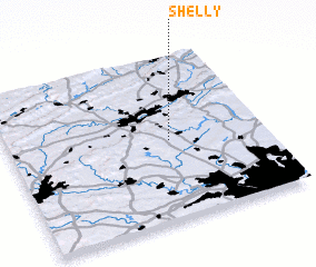 3d view of Shelly