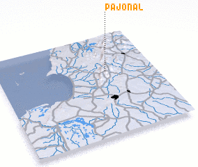 3d view of Pajonal