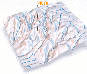 3d view of Picta