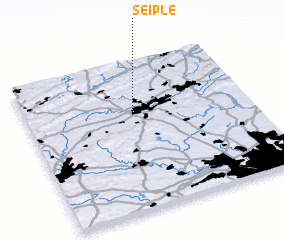 3d view of Seiple