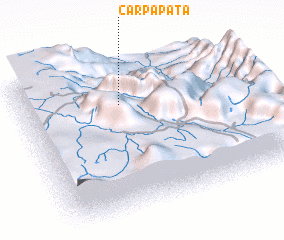 3d view of Carpapata