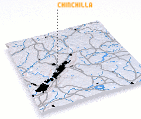 3d view of Chinchilla