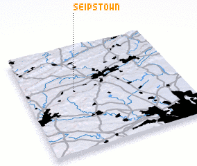 3d view of Seipstown