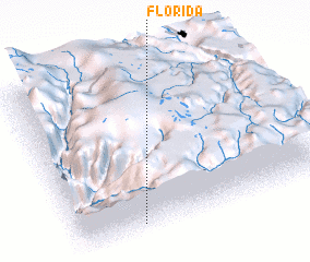 3d view of Florida