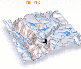 3d view of Ciruela