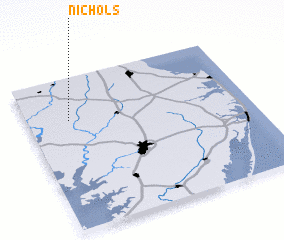 3d view of Nichols