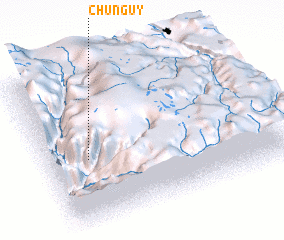 3d view of Chunguy
