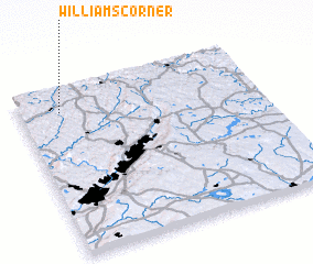 3d view of Williams Corner