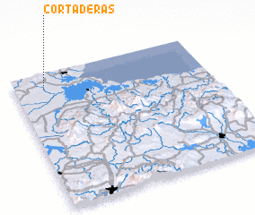 3d view of Cortaderas