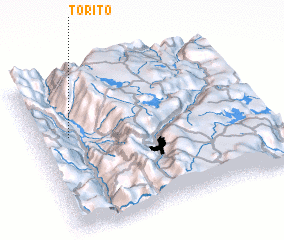 3d view of Torito
