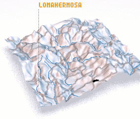 3d view of Loma Hermosa