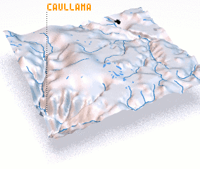 3d view of Caullama