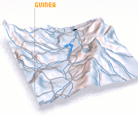 3d view of Guinea