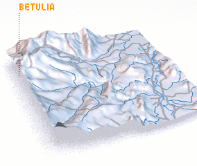 3d view of Betulia