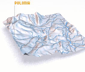 3d view of Polonia