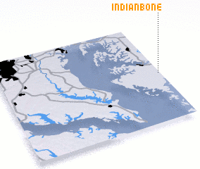 3d view of Indianbone