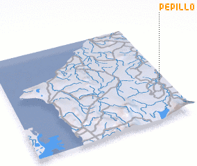 3d view of Pepillo