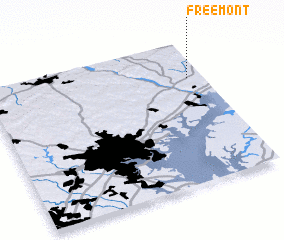 3d view of Freemont