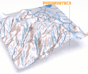 3d view of Puquihuayaco