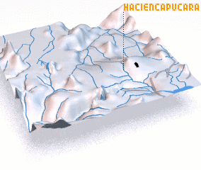 3d view of Hacienca Pucara