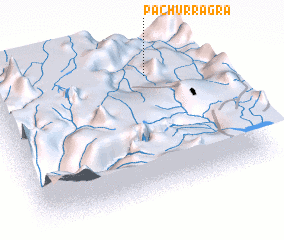 3d view of Pachurragra