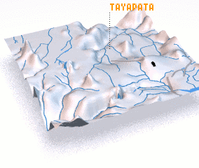 3d view of Tayapata