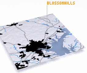 3d view of Blossom Hills