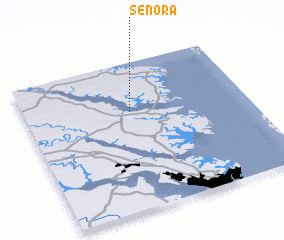 3d view of Senora