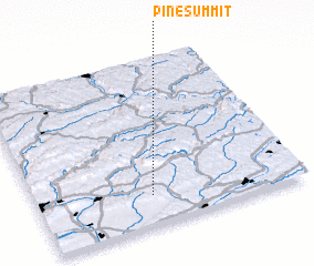 3d view of Pine Summit