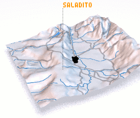 3d view of Saladito