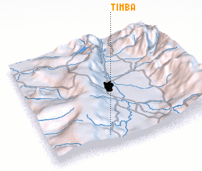 3d view of Timba