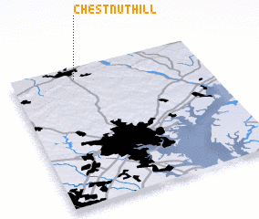 3d view of Chestnut Hill