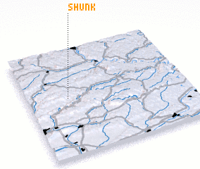 3d view of Shunk