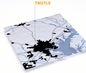 3d view of Thistle