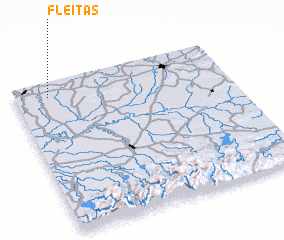 3d view of Fleitas