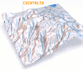 3d view of Cocayalta