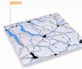 3d view of Angus