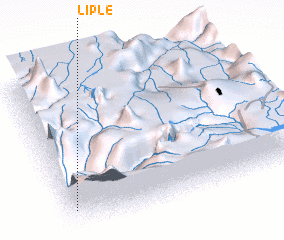 3d view of Liple