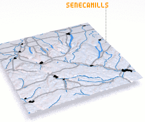 3d view of Seneca Mills