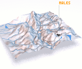 3d view of Males