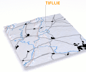 3d view of Tifllie